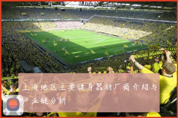上海地区主要健身器材厂商介绍与产业链分析