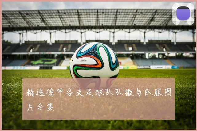 精选德甲各支足球队队徽与队服图片合集