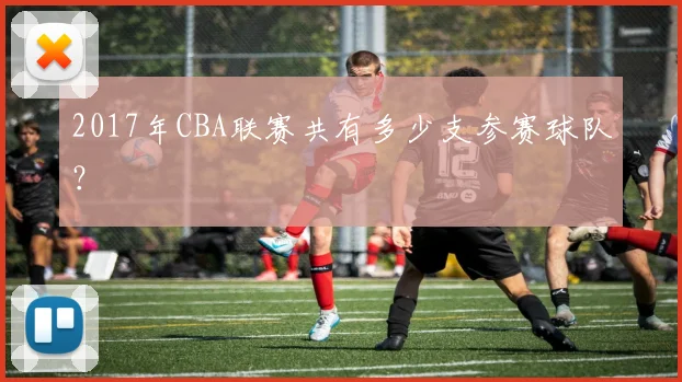 2017年CBA联赛共有多少支参赛球队？