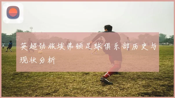 英超劲旅埃弗顿足球俱乐部历史与现状分析