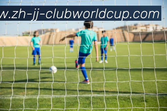 世界杯官网发展历程